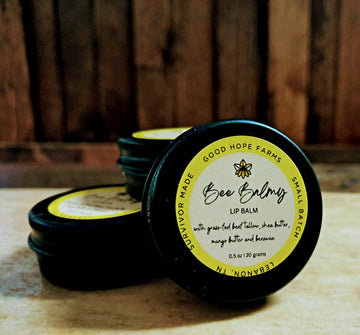Bee Balmy Lip Balm